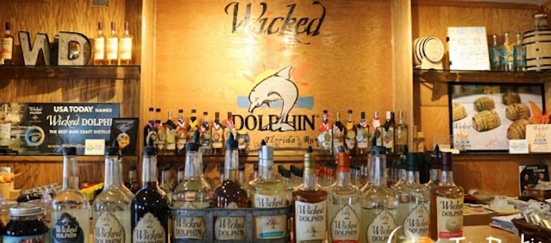 Wicked Dolphin