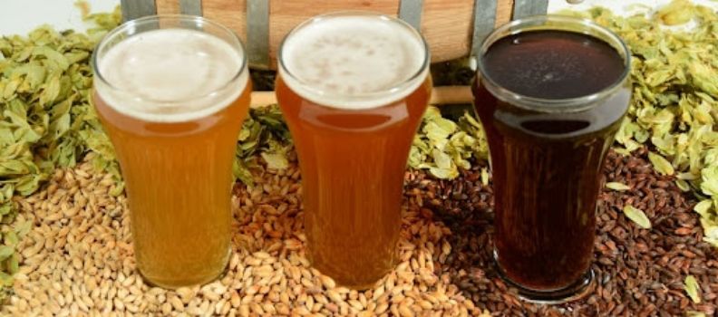RenegadeBrewing Variety of Malt used in Different Beer Styles